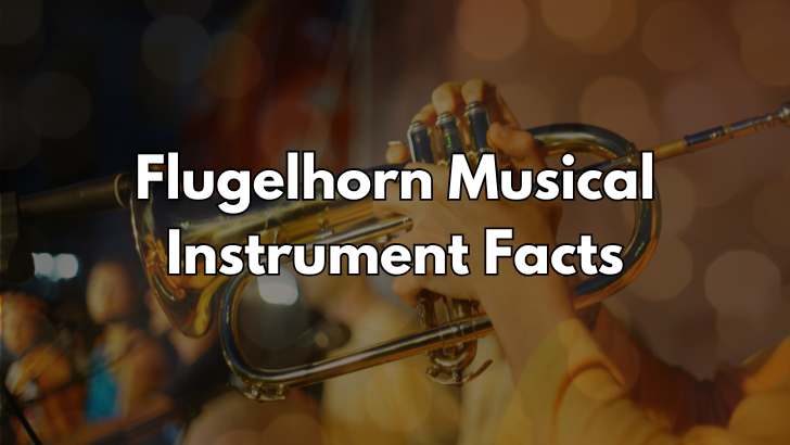The Flugelhorn