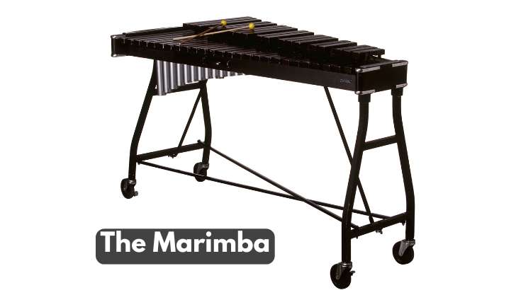 The Marimba Musical Instrument Facts