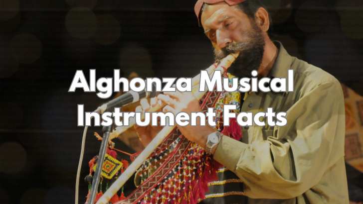 Traditional Alghoza Musical Instrument