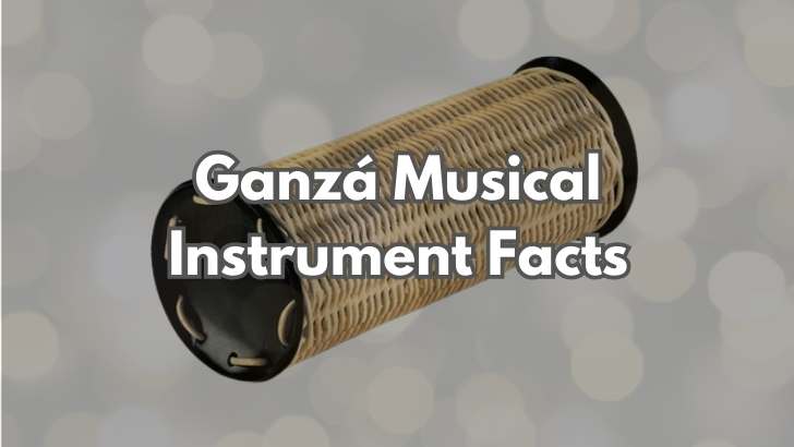 Ganzรก Instrument