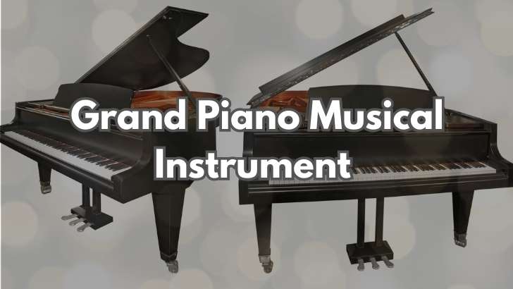 Grand Piano Musical Instrument