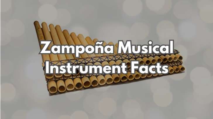 Zampoรฑa Musical Instrument Facts